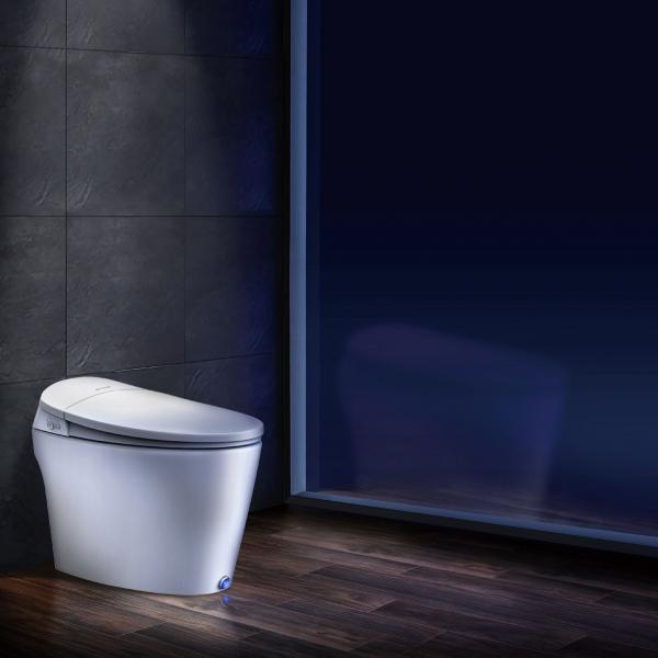 Tankless Dyconn smart toilet with bidet