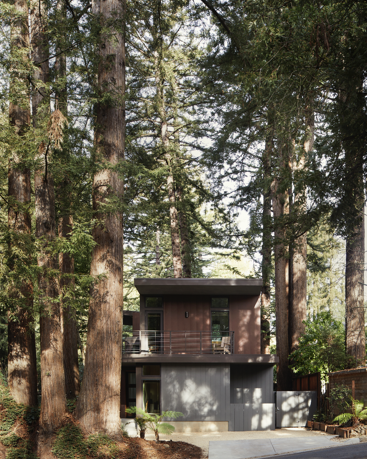 rear exterior modern redwood cottage 