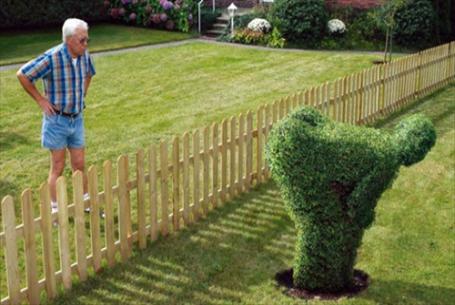 Angry neighbor glaring at shrubbery trimmed into man mooning him